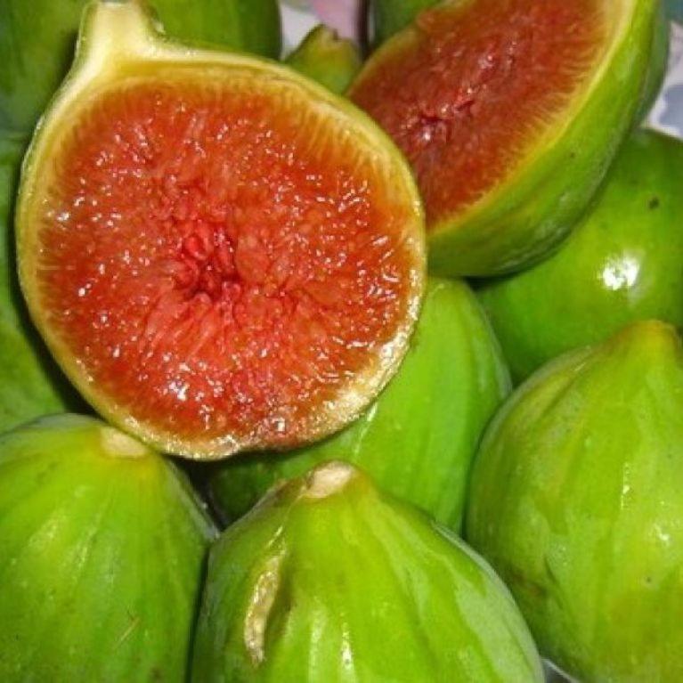 مبيت وإفطار كامبوفيليتْشّي دي روتْشّي Ifioridisicilia المظهر الخارجي الصورة